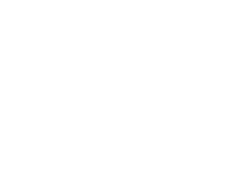 Viccarbe scott rice