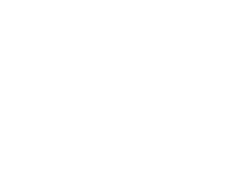 Established & Sons Logo