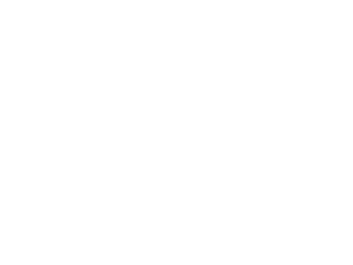 Halcon Logo